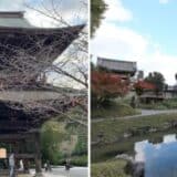 ダイナースクラブ会員限定 秋の人気イベント ～建長寺（鎌倉）、西本願寺（京都）の特別参拝を開催～